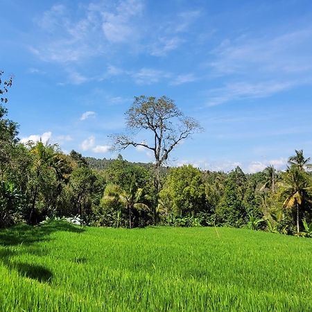 Umah Yugadi Bali Apartment Munduk  Bagian luar foto