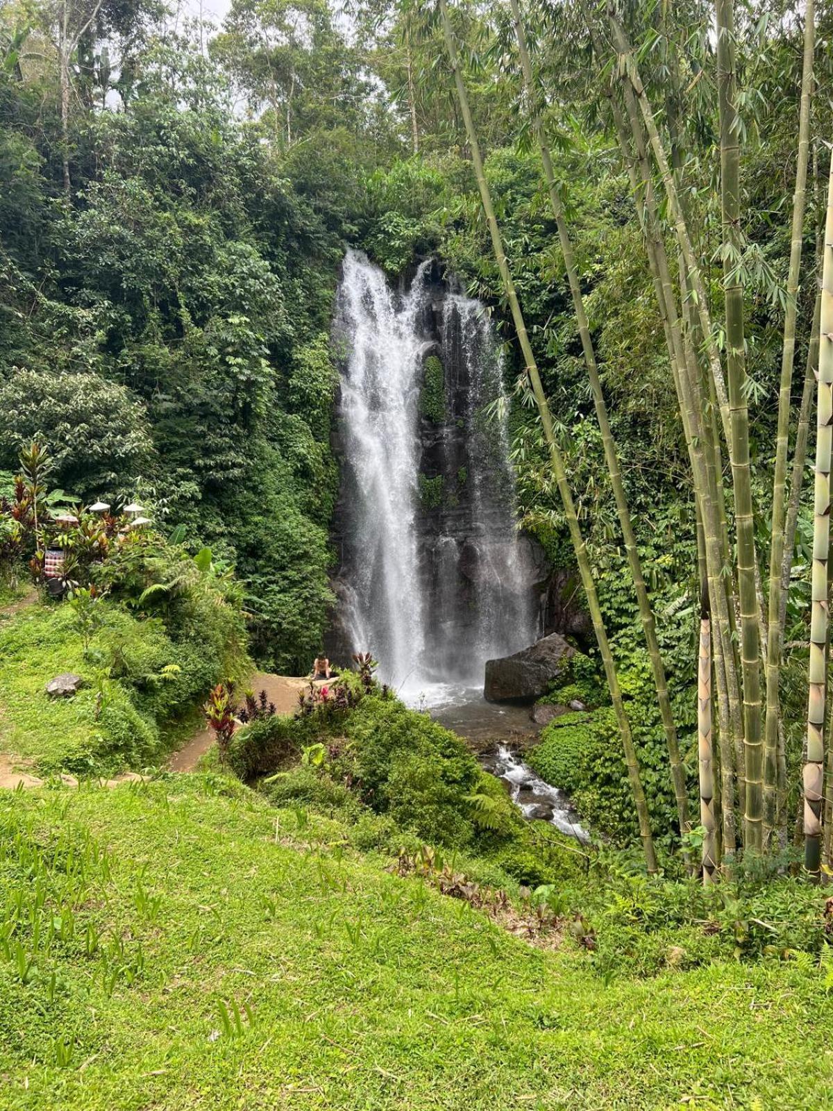 Umah Yugadi Bali Apartment Munduk  Bagian luar foto