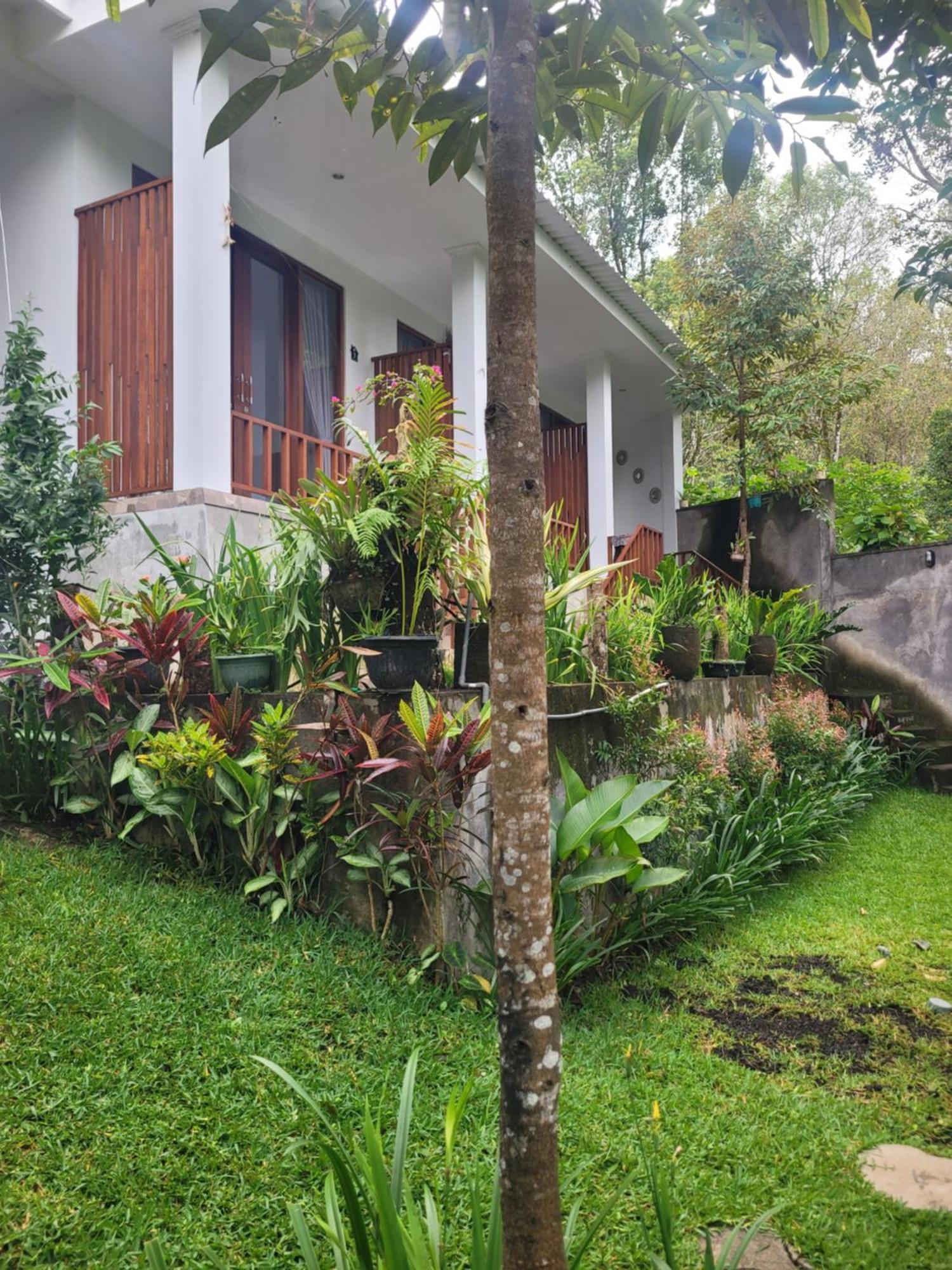 Umah Yugadi Bali Apartment Munduk  Bagian luar foto